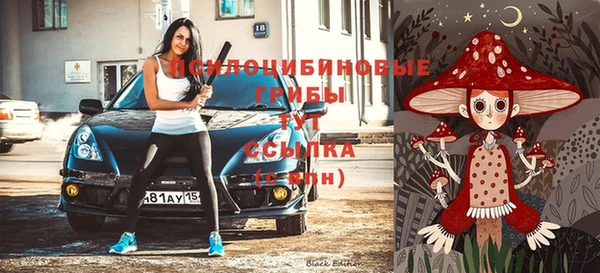 спайс Алексин