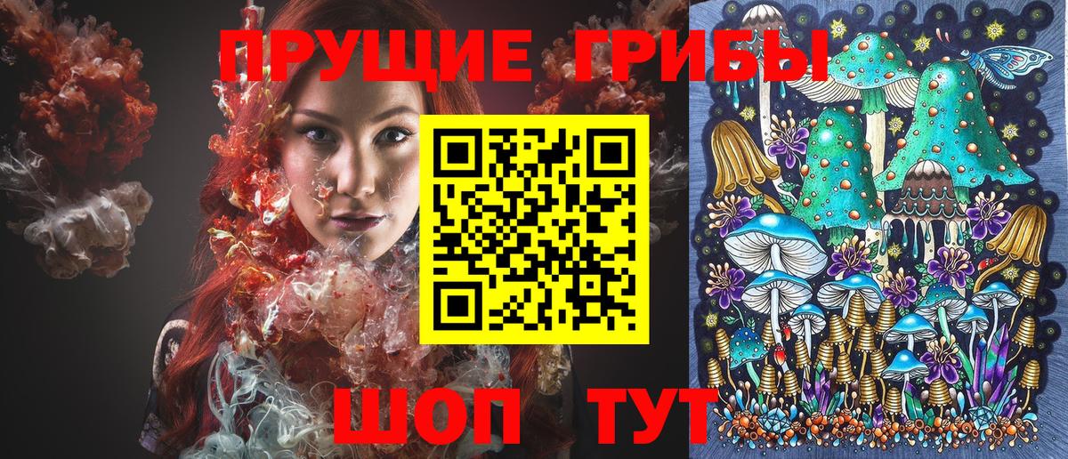 Псилоцибиновые грибы MAGIC MUSHROOMS Шатура